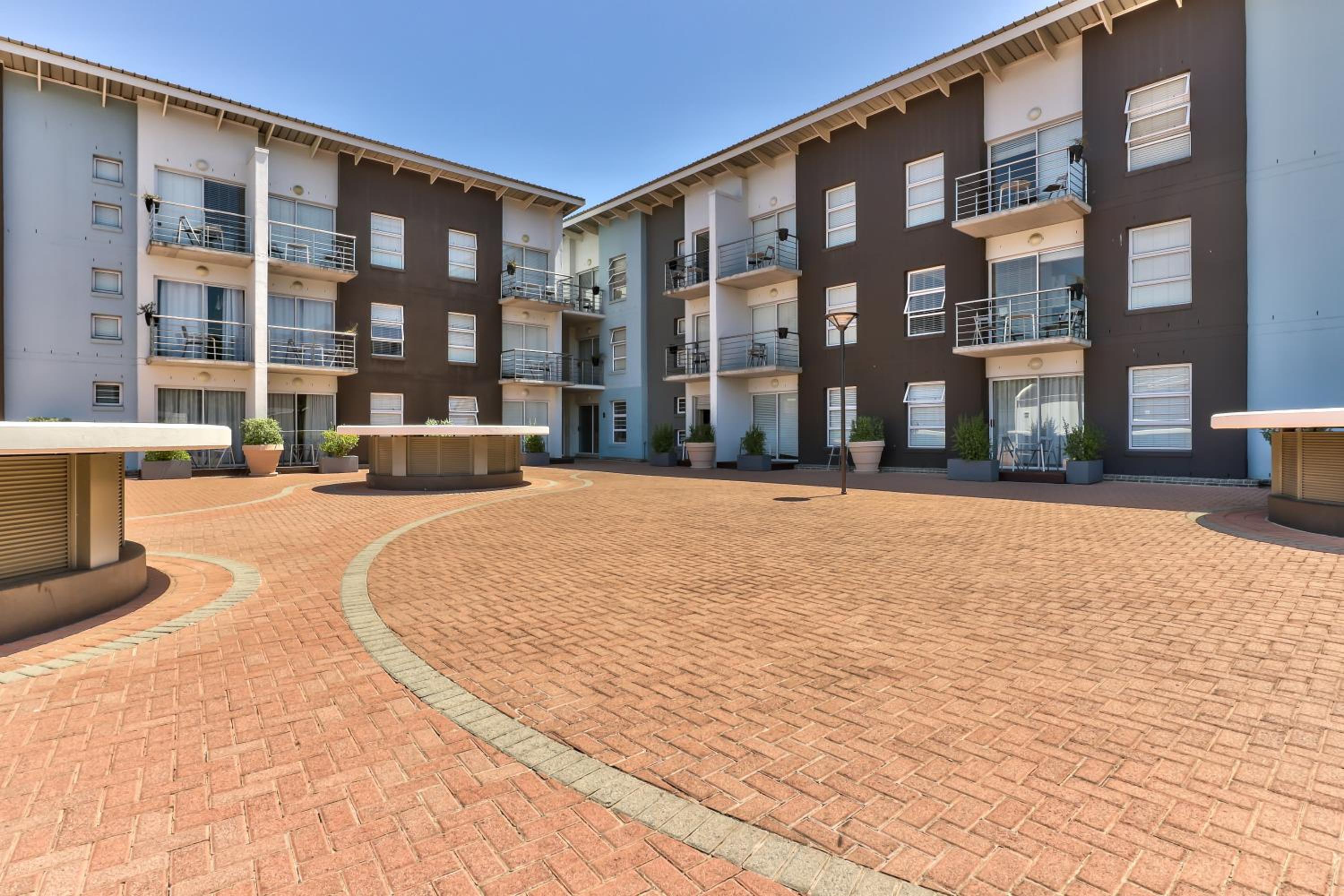 Фото Wink Quiver Tree