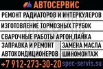 Спецсервис (Pehotintsev Street, 23), car service, auto repair