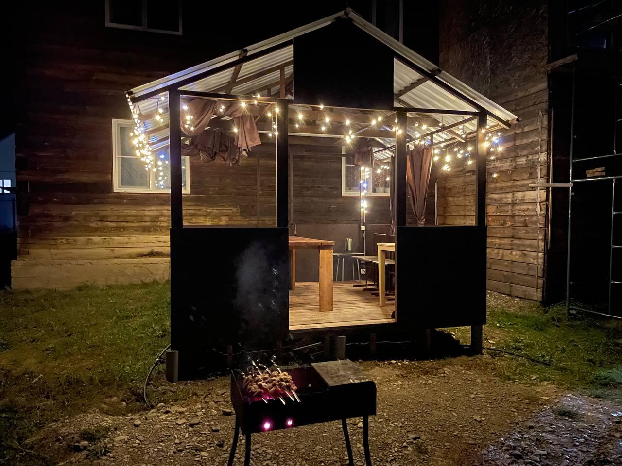 Фото Дикий Еж