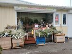 Дары природы (territoriya Torgovy Kompleks Severny, 4-ya ulitsa, 1) ، منتجات الحمامات والساونا