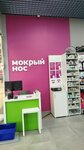 Мокрый нос (Kommunarsky Lane, 53), tienda de animales