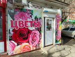 Cvety (prospekt Metallurgov, 46А), toys and games