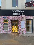 Botanika (Kirova Street, 36), floristeria