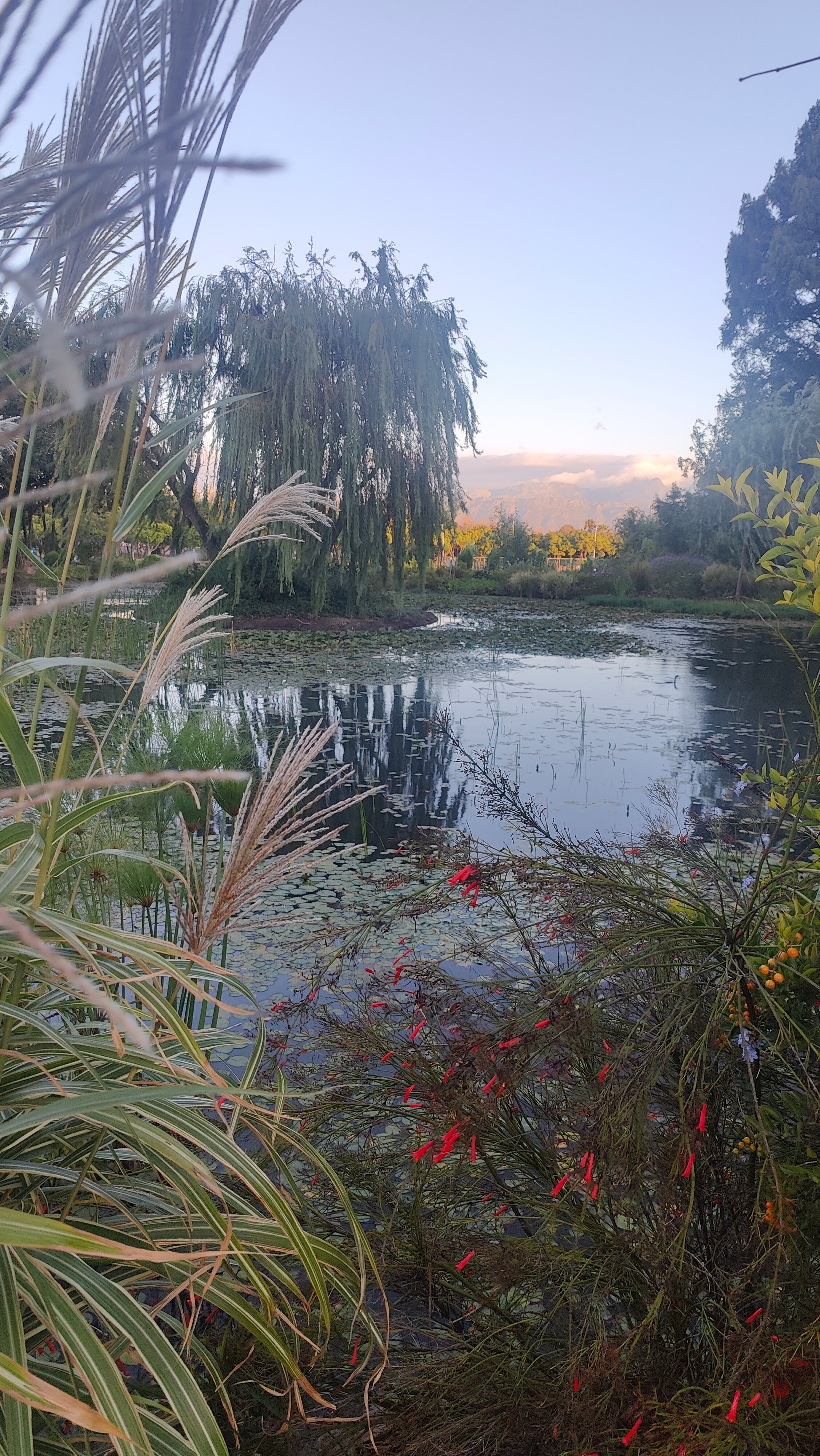 Фото Lord Charles Hotel