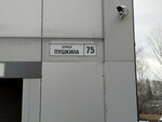 Advokat Chernikov Vitaly Aleksandrovich (Pushkina Street, 75), attorney
