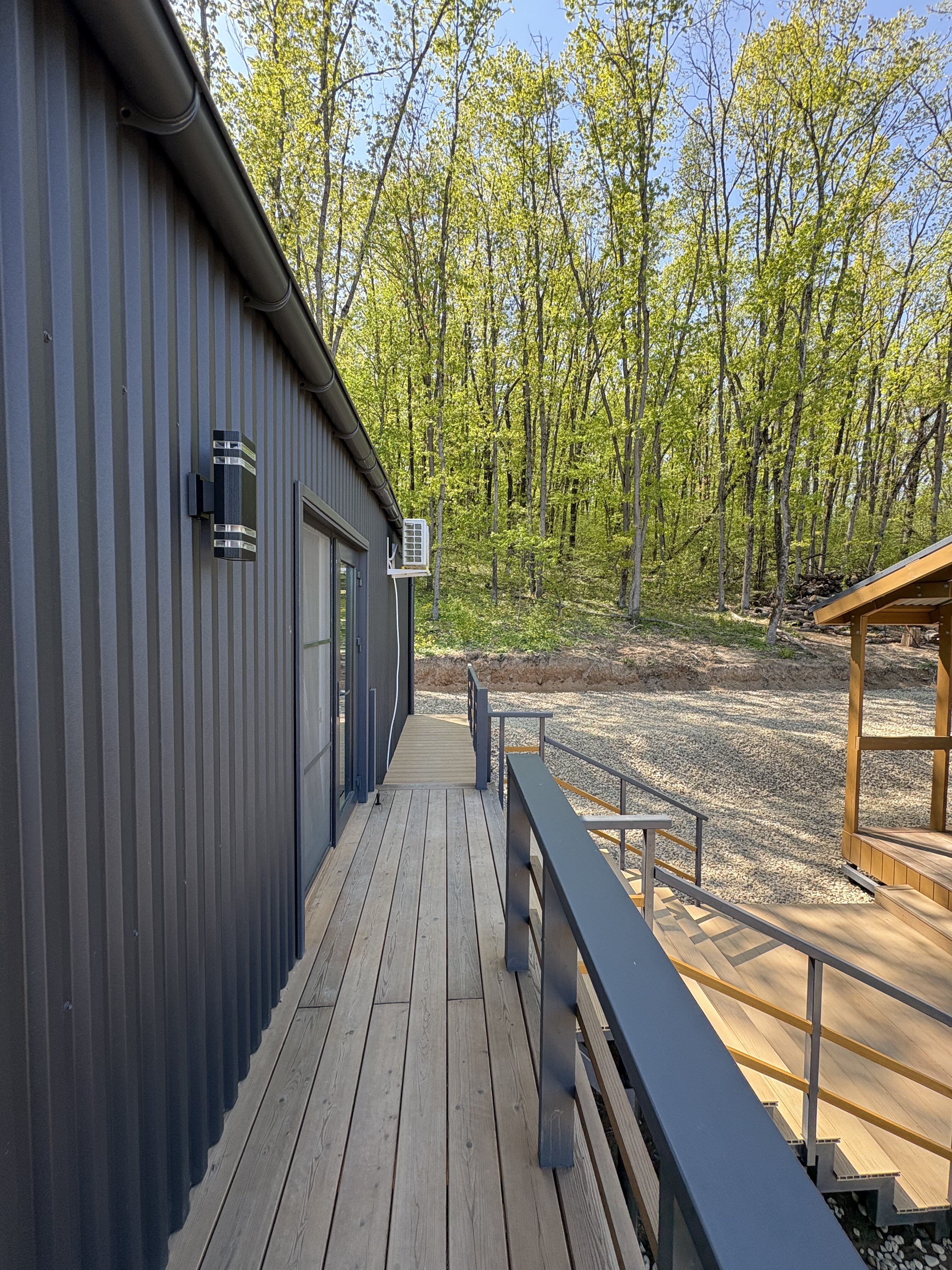 Фото Лес Азовская