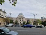 Spitalul Clinic Coltea (Румыния, Бухарест, Букурешти-Секторул-3, Bulevardul I. C. Brătianu, 1), hospital para adultos