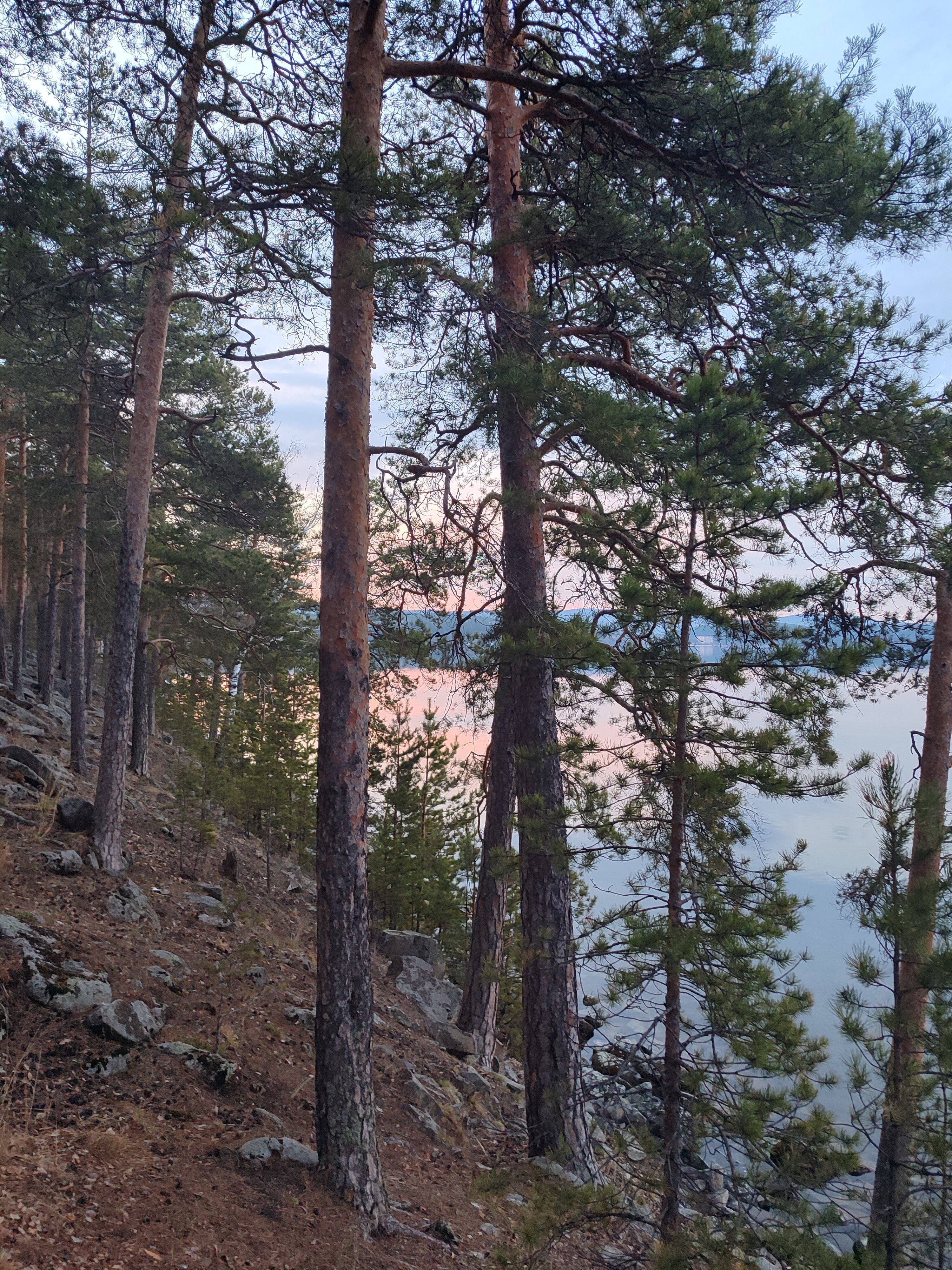 Фото Тургояк-Сити