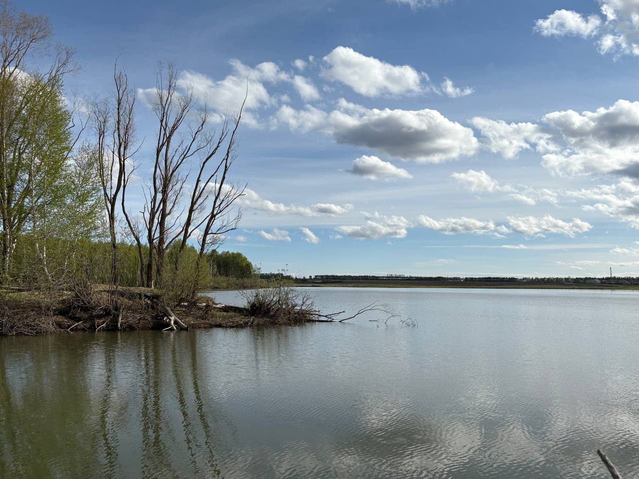 Фото Бобры и Утки