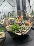 Flo florariums (Kuusinen Street, 11к3), flower shop