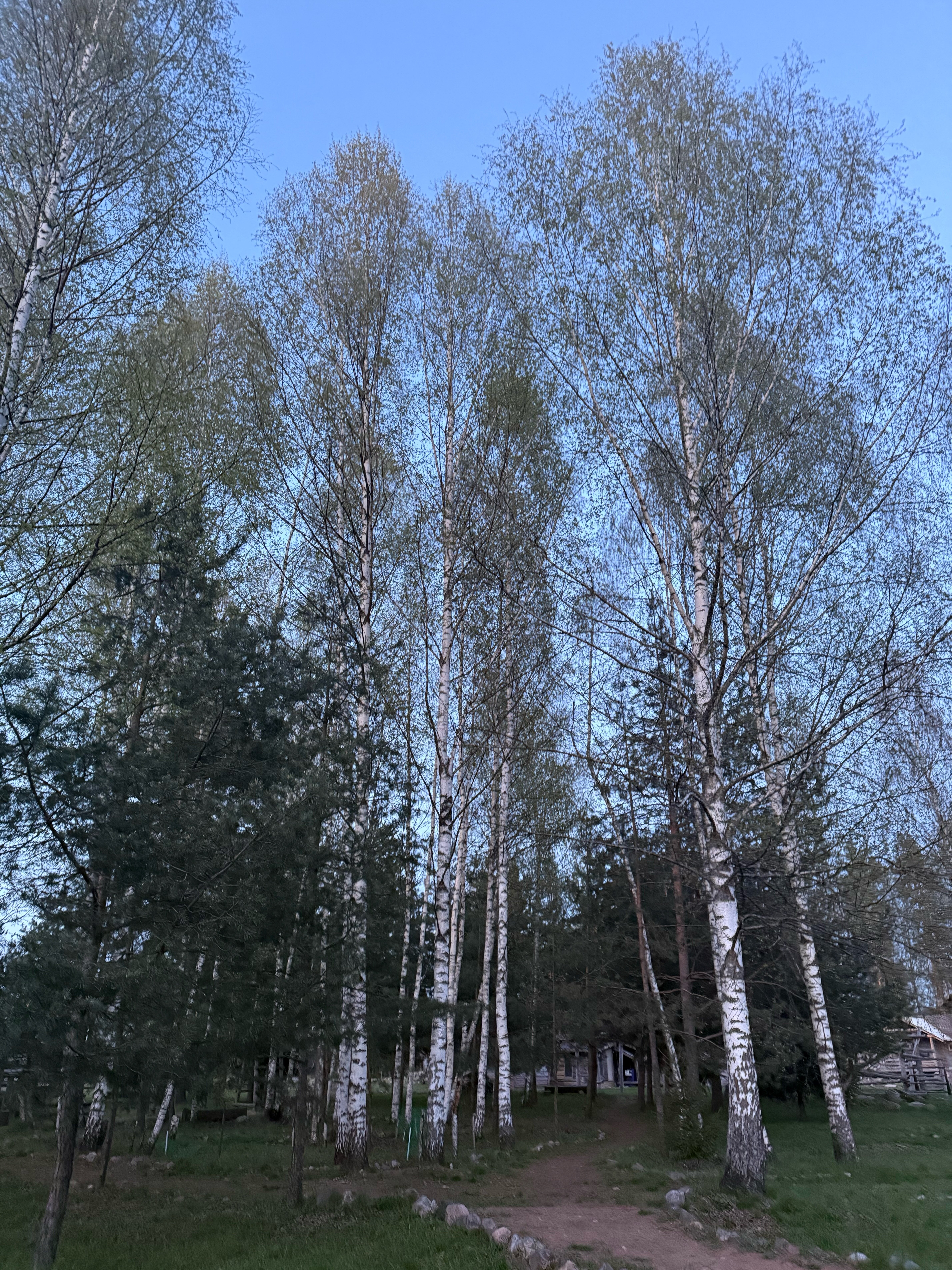 Фото Южный Паркъ