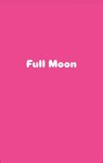Full Moon (Vavilova Street, 9Ас7), fulfillment