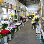 Три букета (Pobeda Revolyutsii Avenue, 103) ، محل زهور