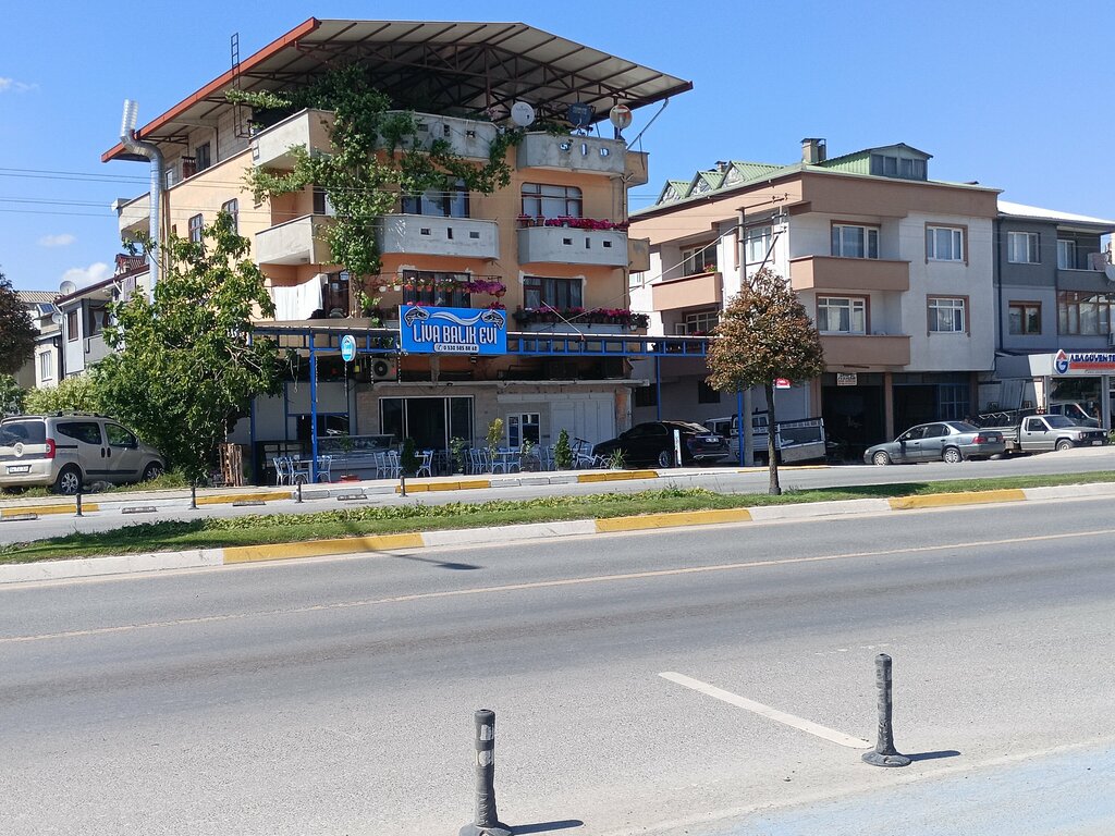 Fish and seafood Liva Balık, Adapazari, photo