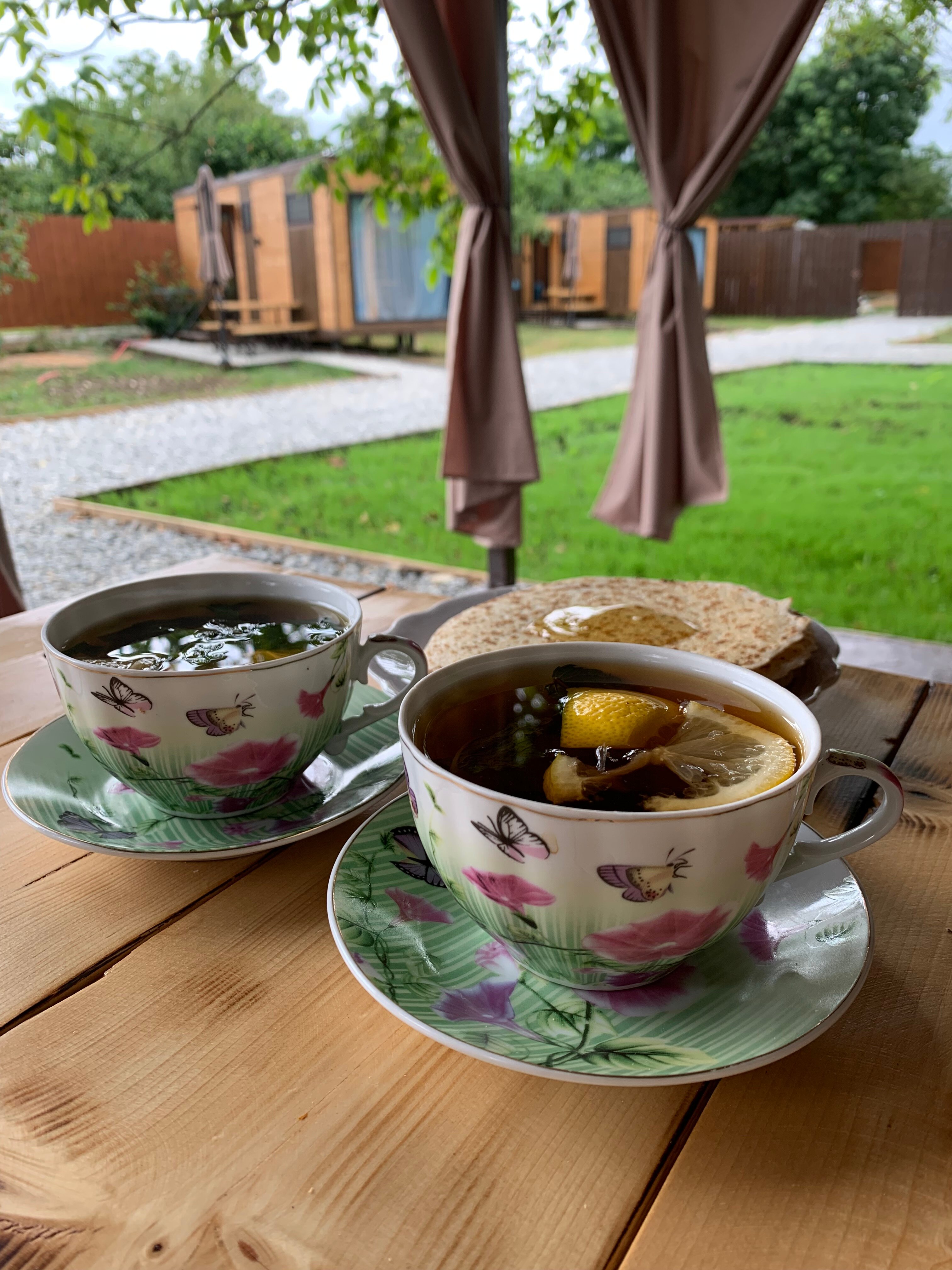 Фото Берег леса