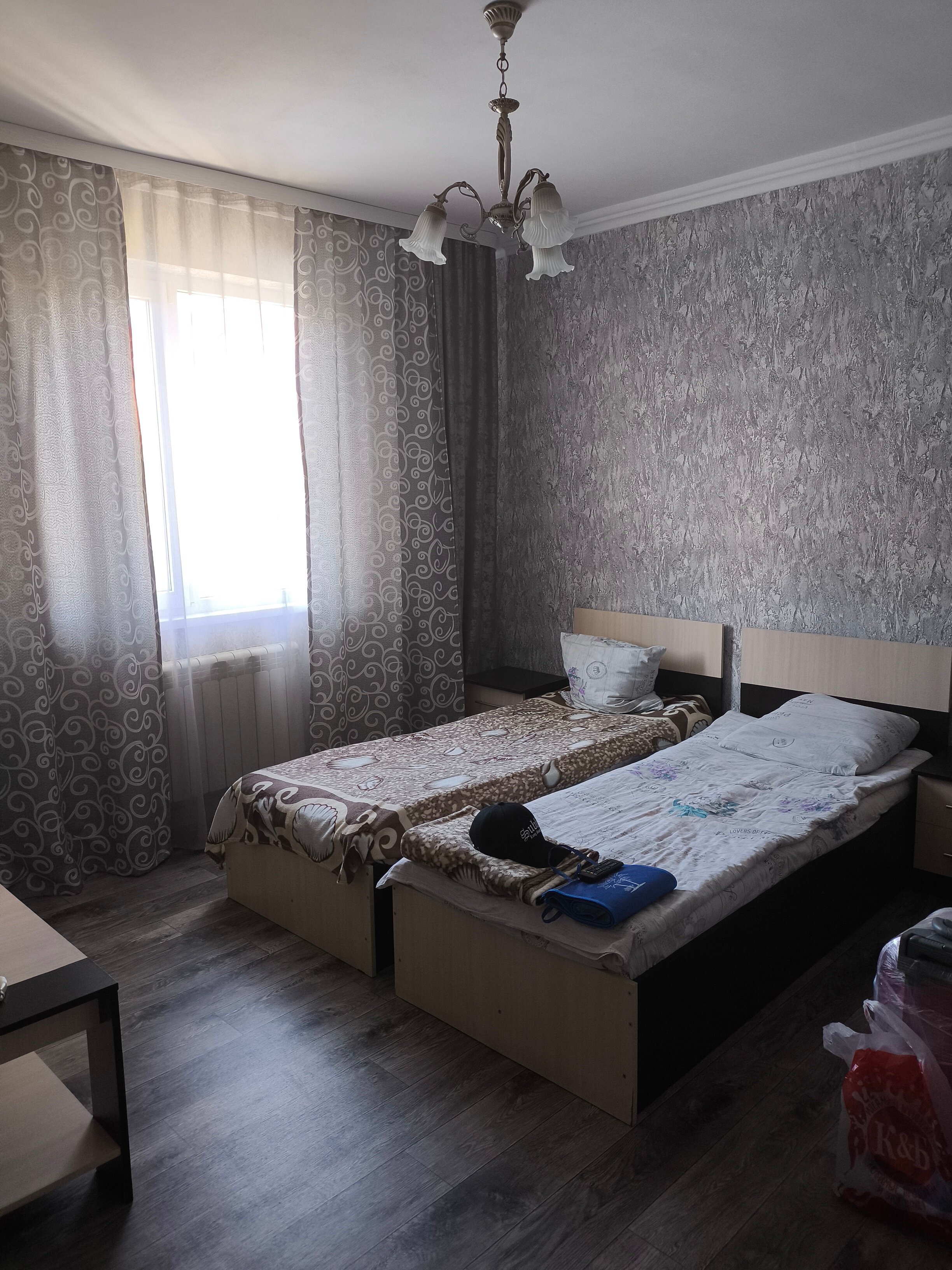 Фото Цветок Маргариты