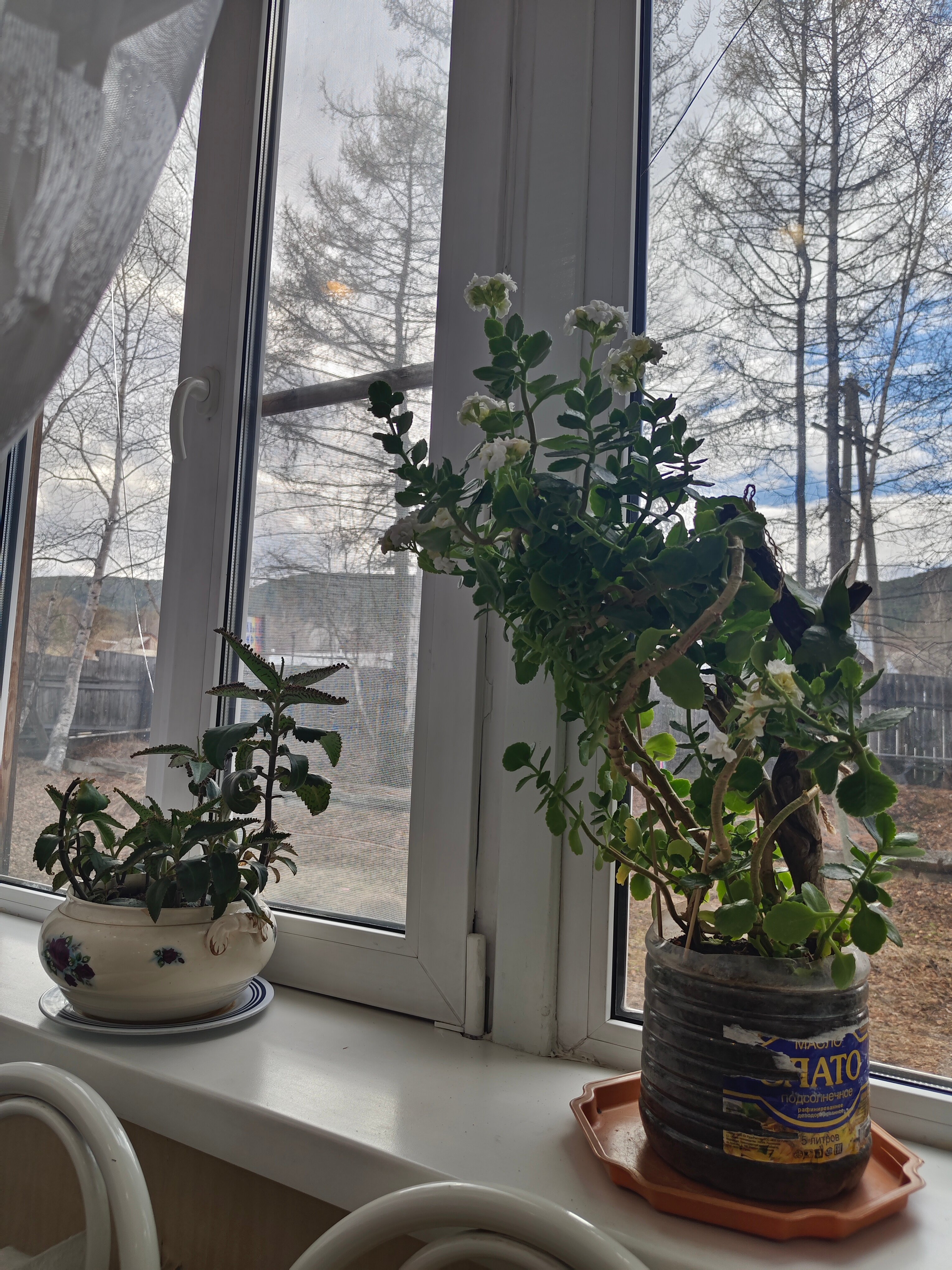 Фото Северный Байкал