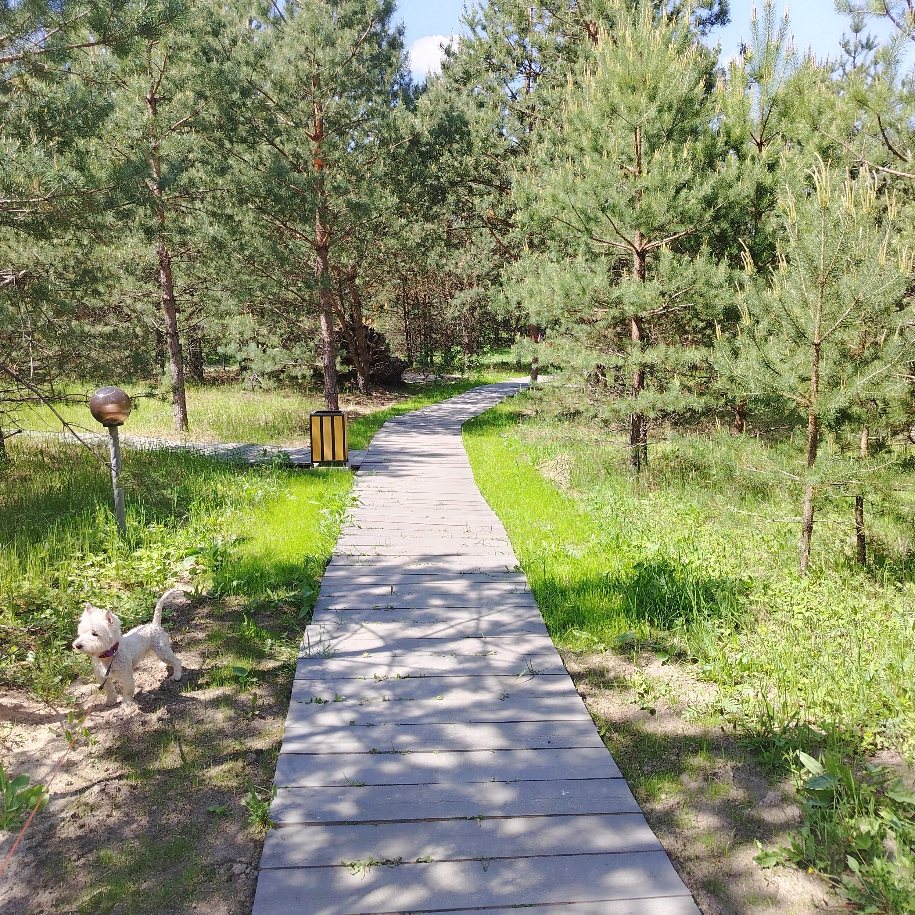 Фото Эко-Парк Шмели