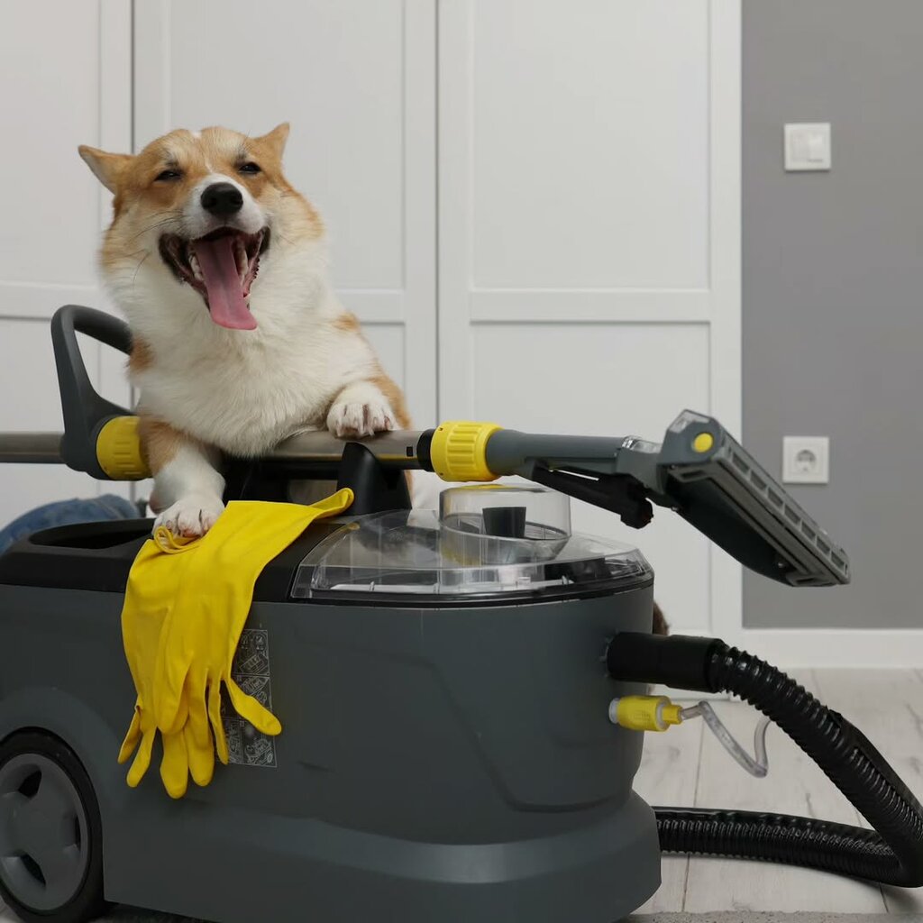 Cleaning equipment and supplies Cleansing machines, Barnaul, photo