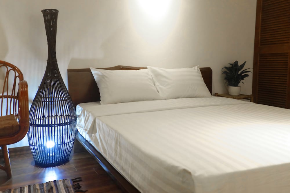 Фото A Green Home