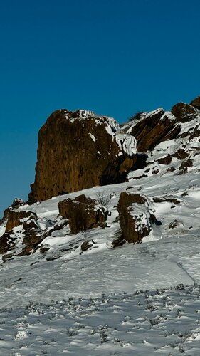 Қырылмаған есекте