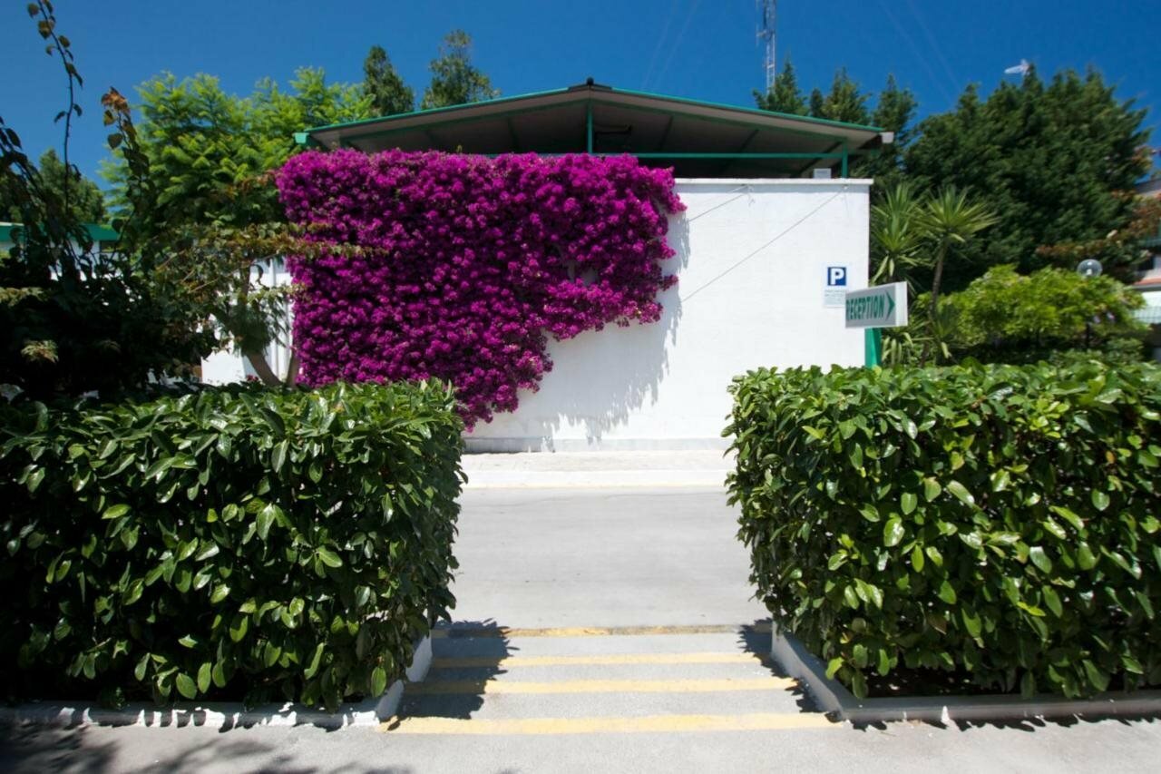 Фото Hotel Residence Nemo