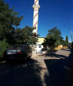 Haci Usagi Village Mosque (Elazığ, Baskil, Hacıuşağı Köyü), mosque