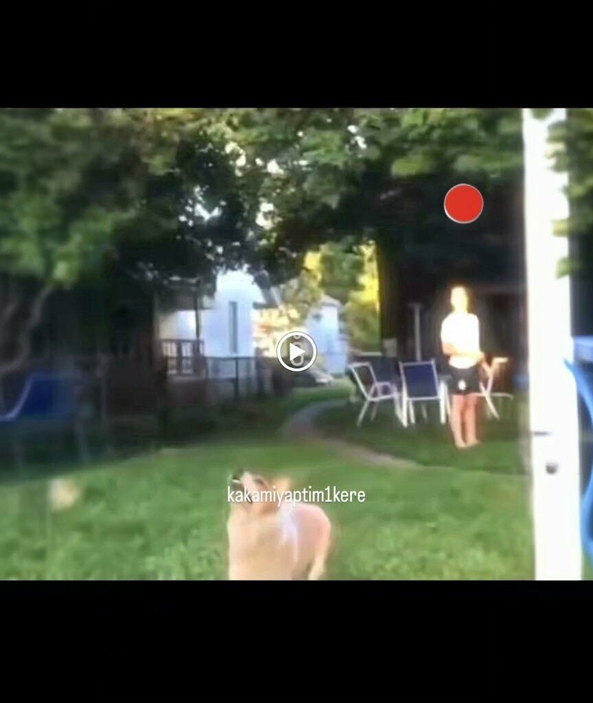 School Kusadasi Ikiçesmelik Secondary School, Kushadasi, photo