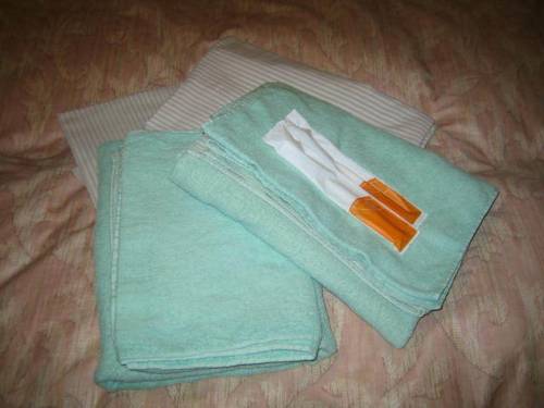 Фото Resort Inn Fuyo Kawaguchiko Inter store