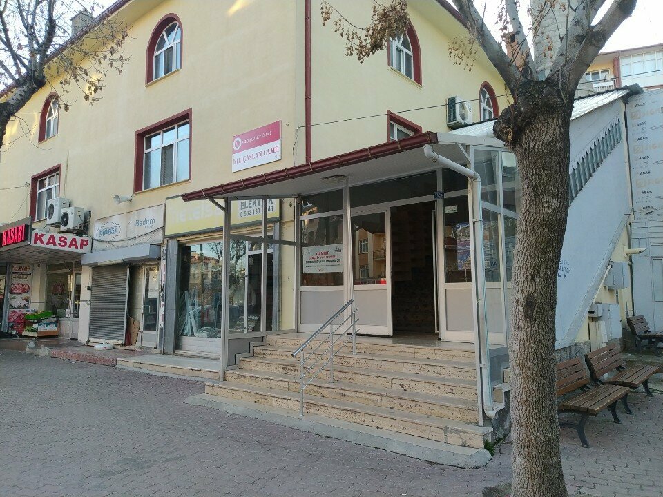 Mosque Kilicaslan Mosque, Konya, photo