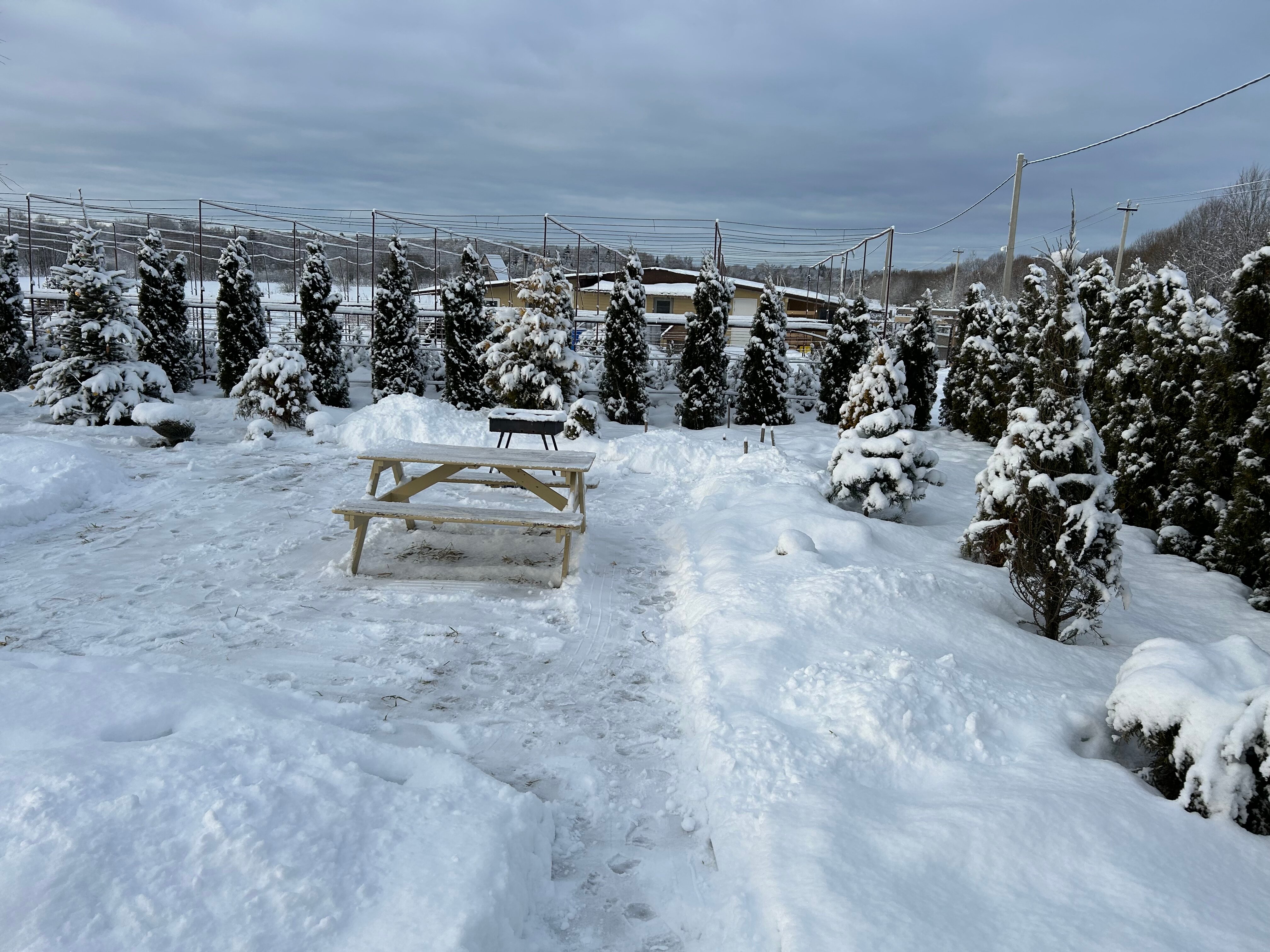 Фото Усадьба Маруся