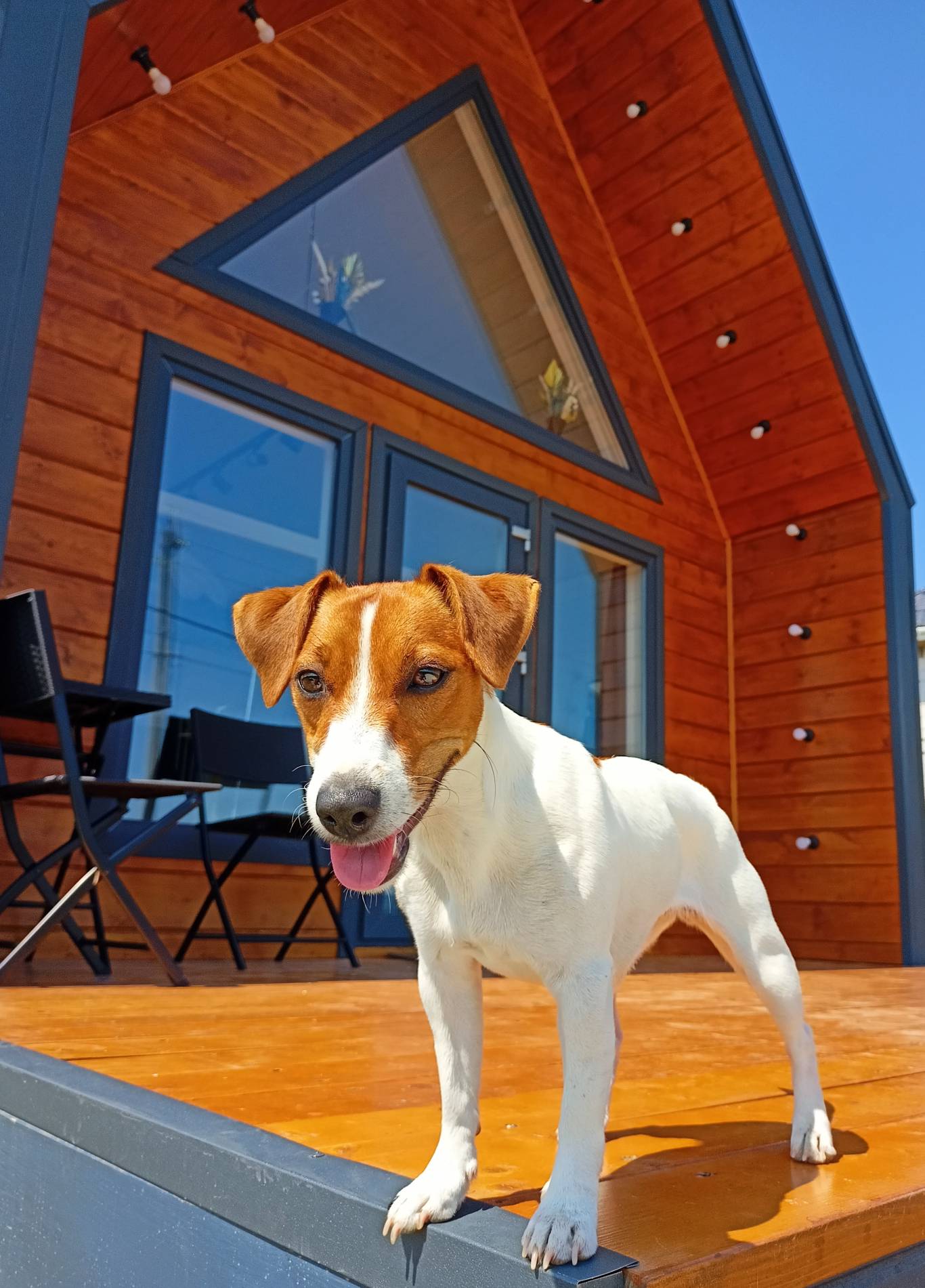 Фото Inles House