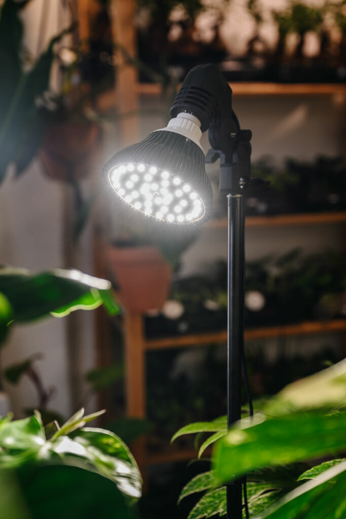 E-commerce GoldenBuds, Shenzhen, photo