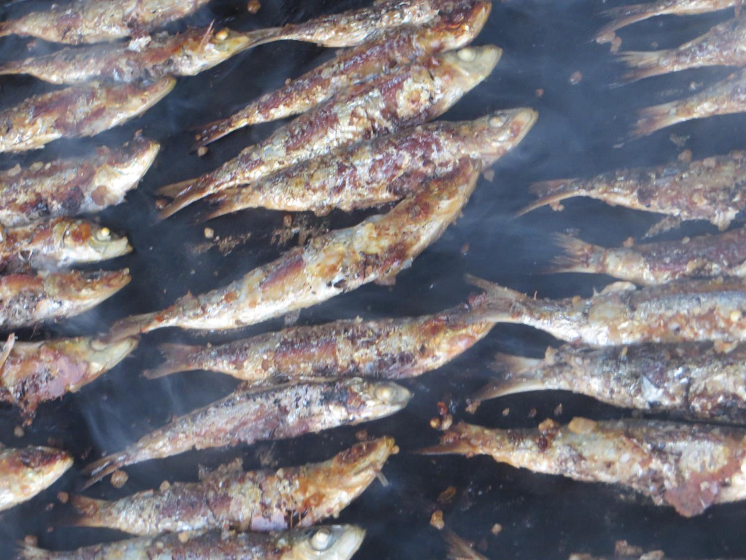 Фото Hotel Maxim