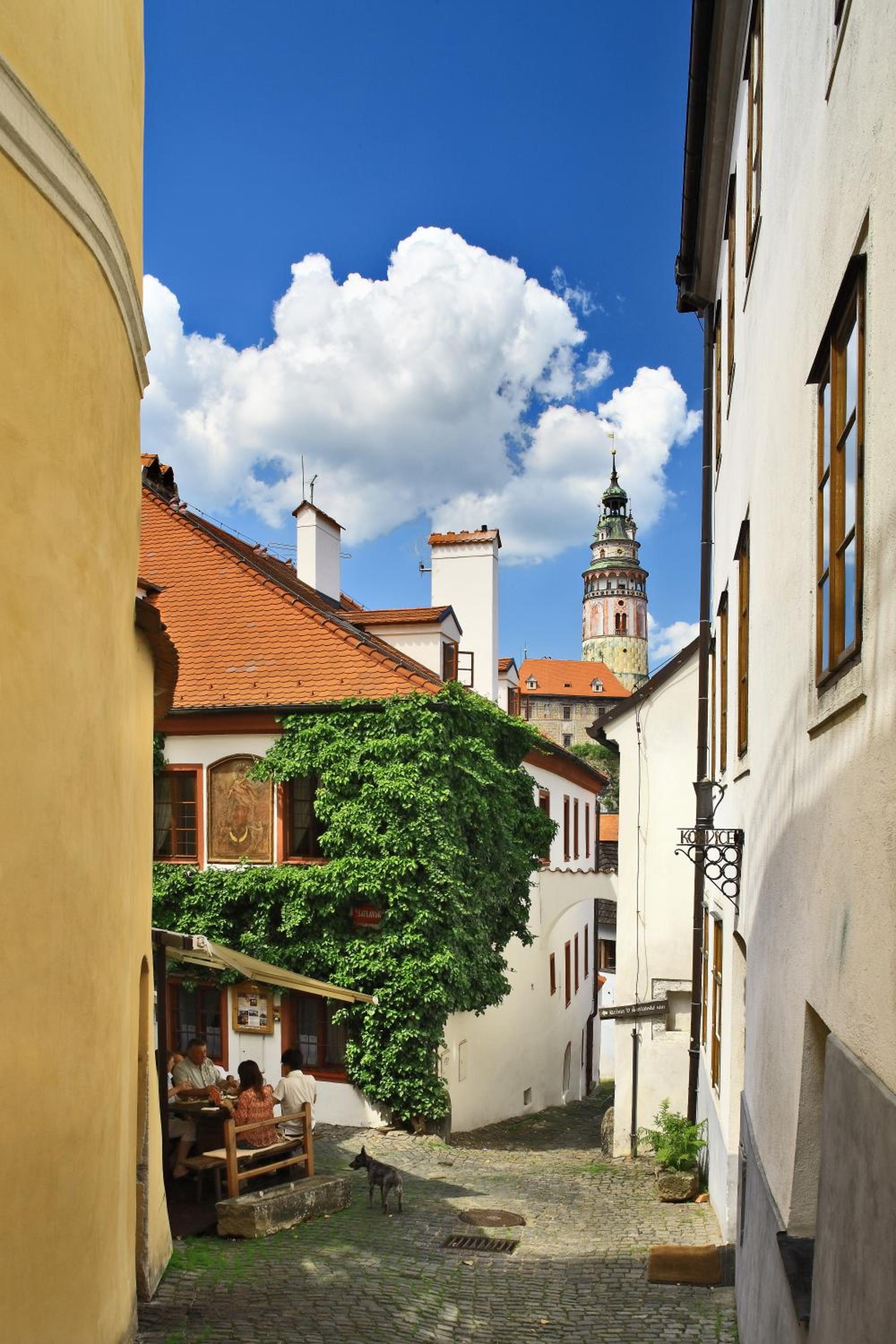 Фото Castle View Apartments