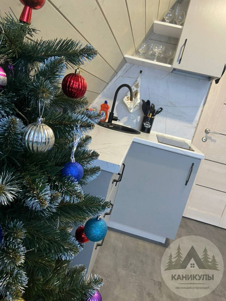 Фото Каникулы