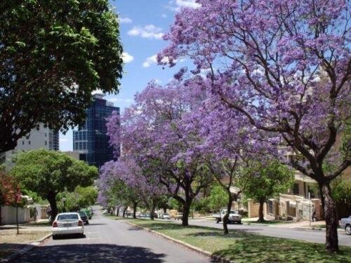 Внешний вид отеля Mountway Holiday Apartments в Перте, фото 4