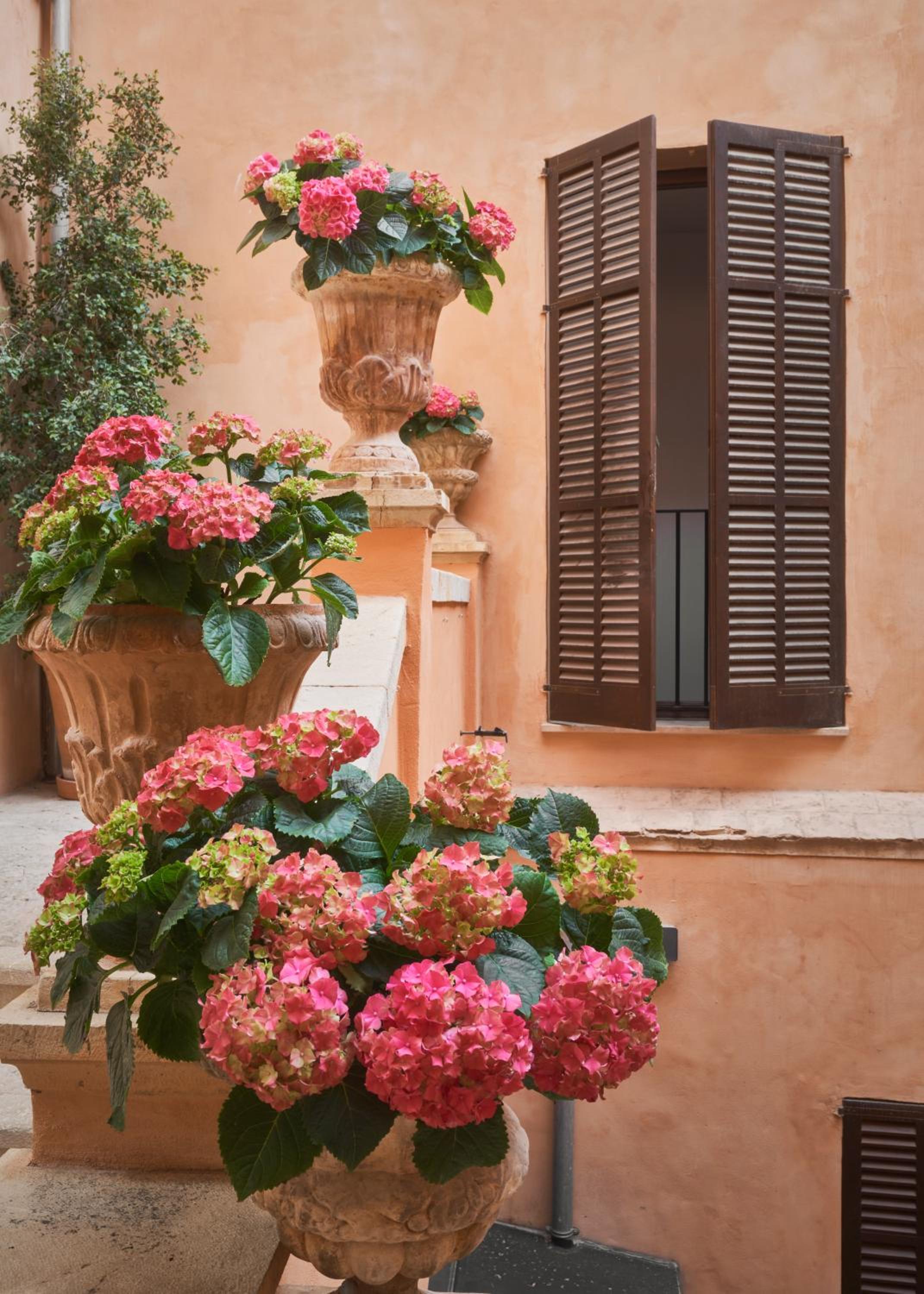 Фото Boutique Hotel Posada Terra Santa