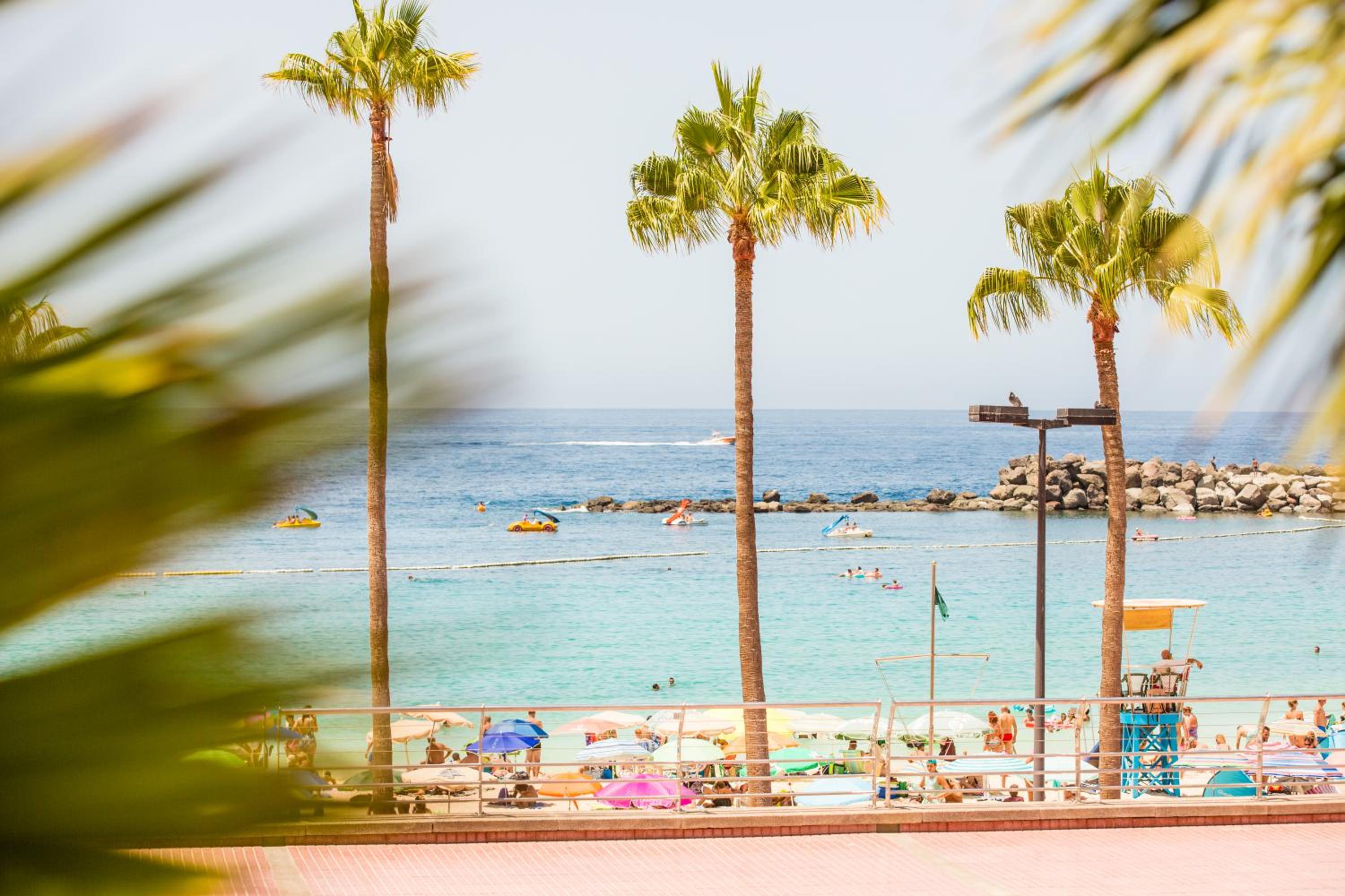 Фото Amadores Beach Apartment