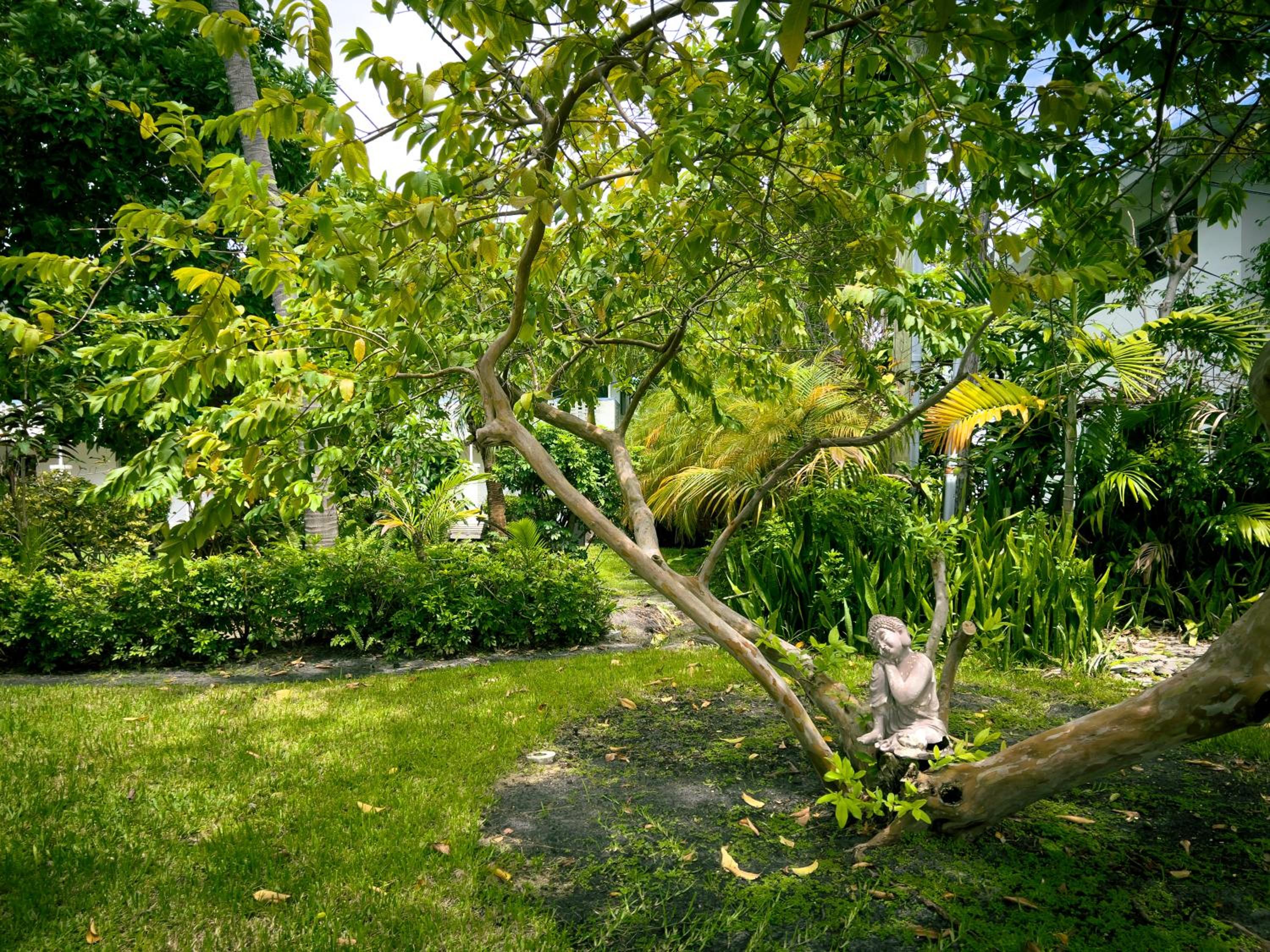 Фото Beach Gardens A North Beach Village Resort Hotel