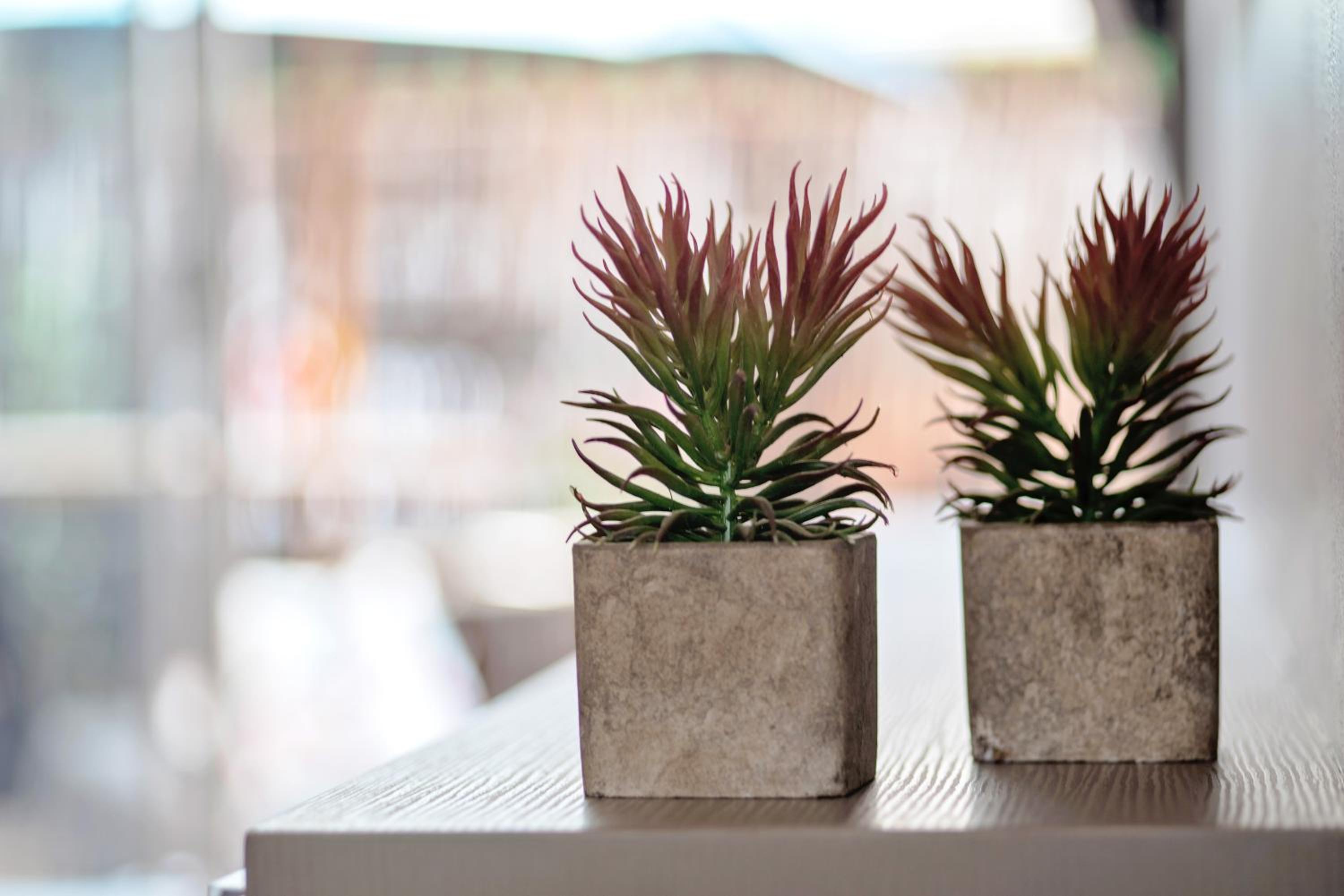 Фото Avemore Vredehof № 2