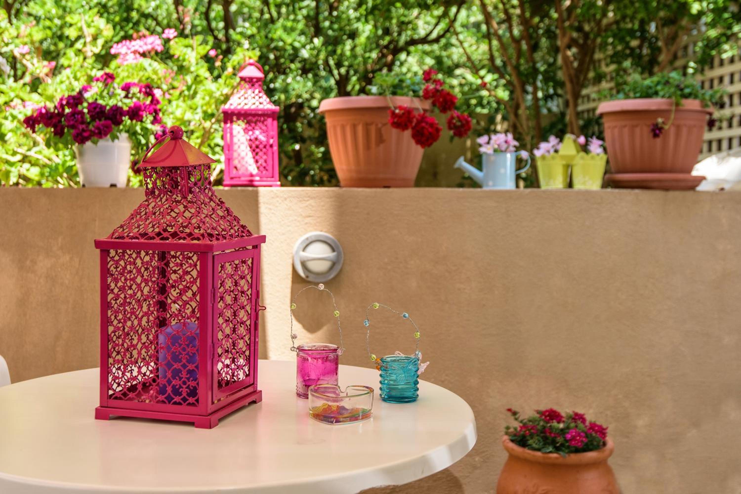 Фото Aloe Apartments & Studios