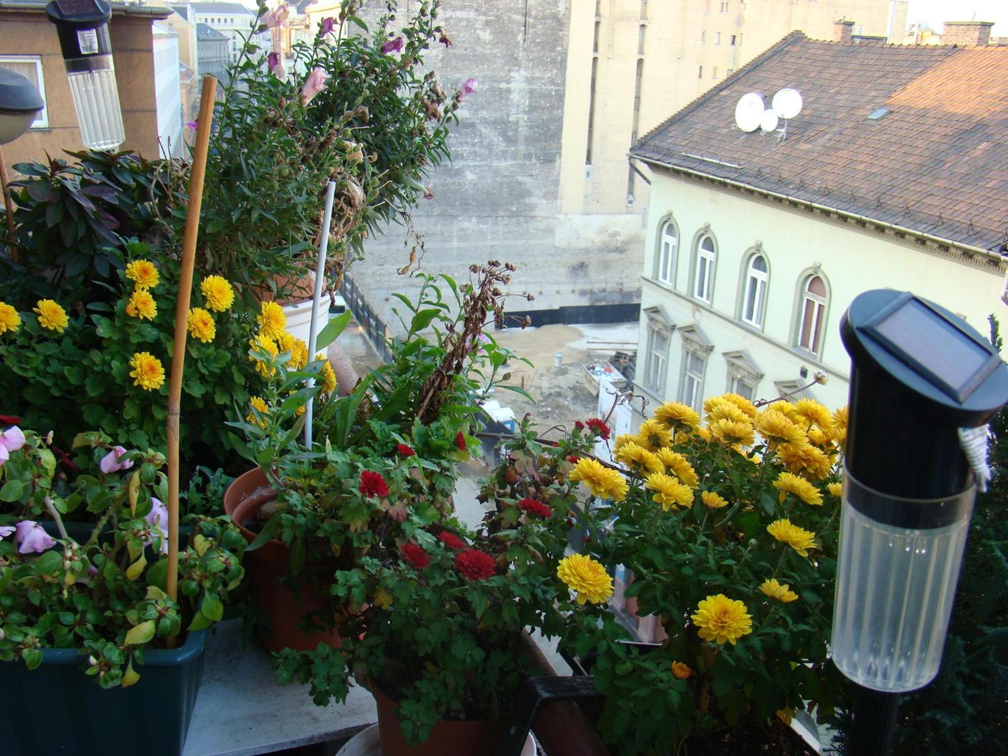 Фото Lonyay Street Apartment