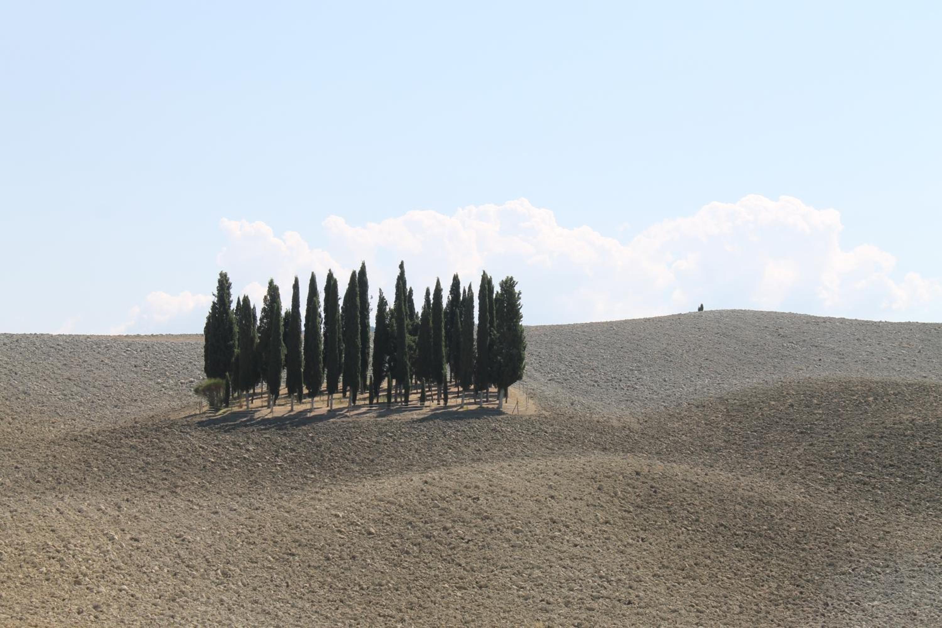 Фото Hotel Ismaele