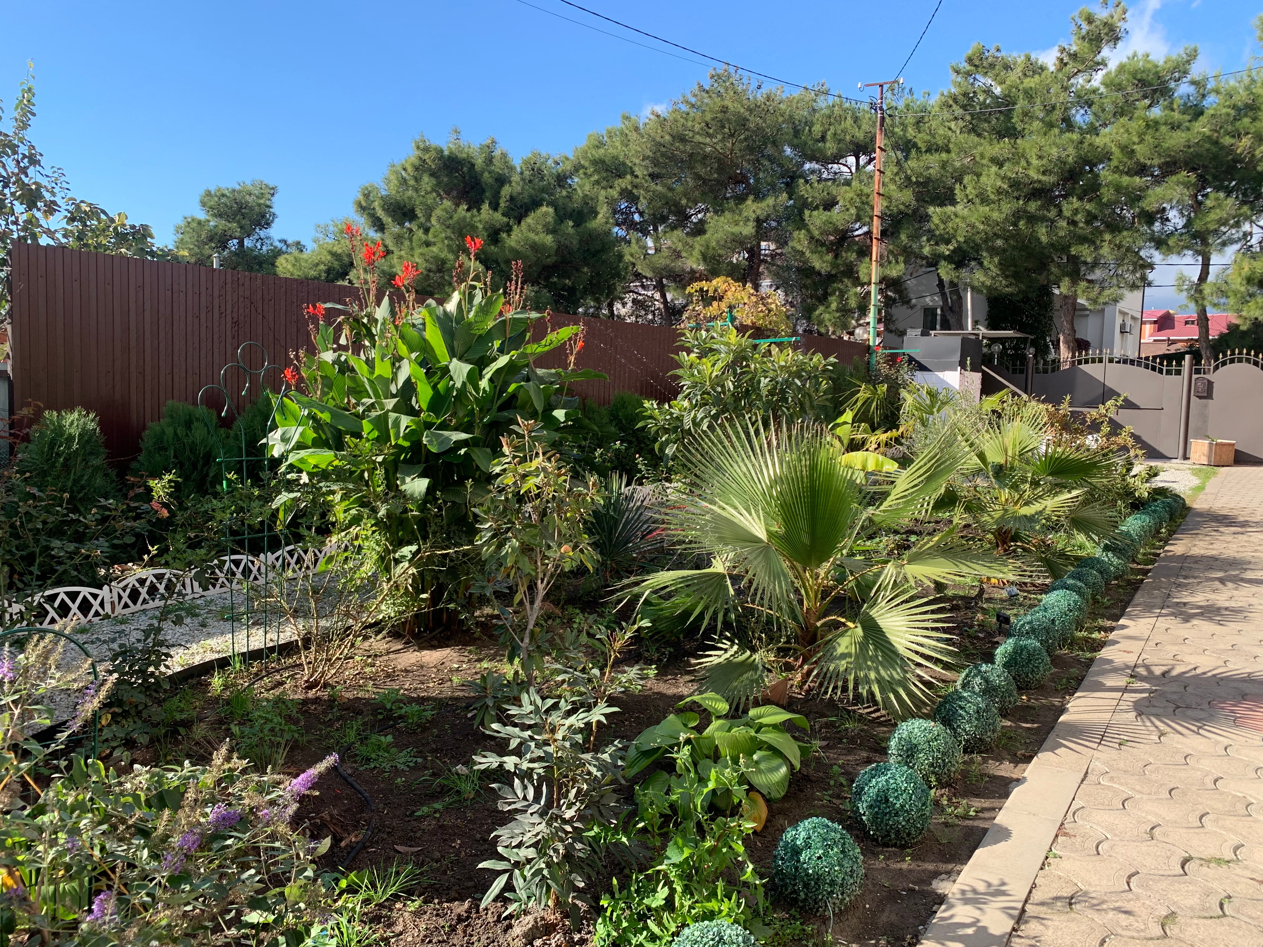 Фото Нинель