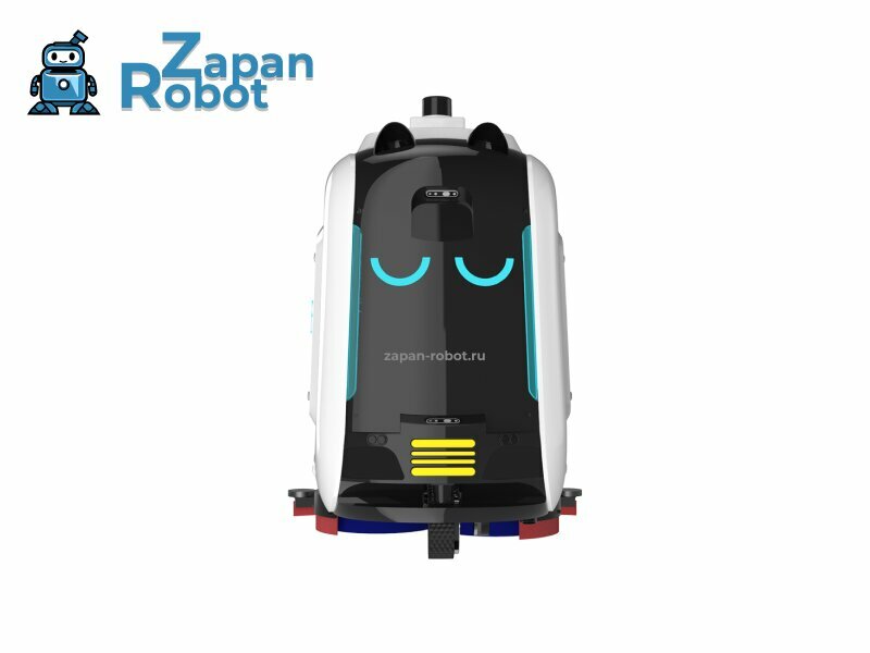 Sale and rental of commercial robots ZapanRobot, Smolensk, photo