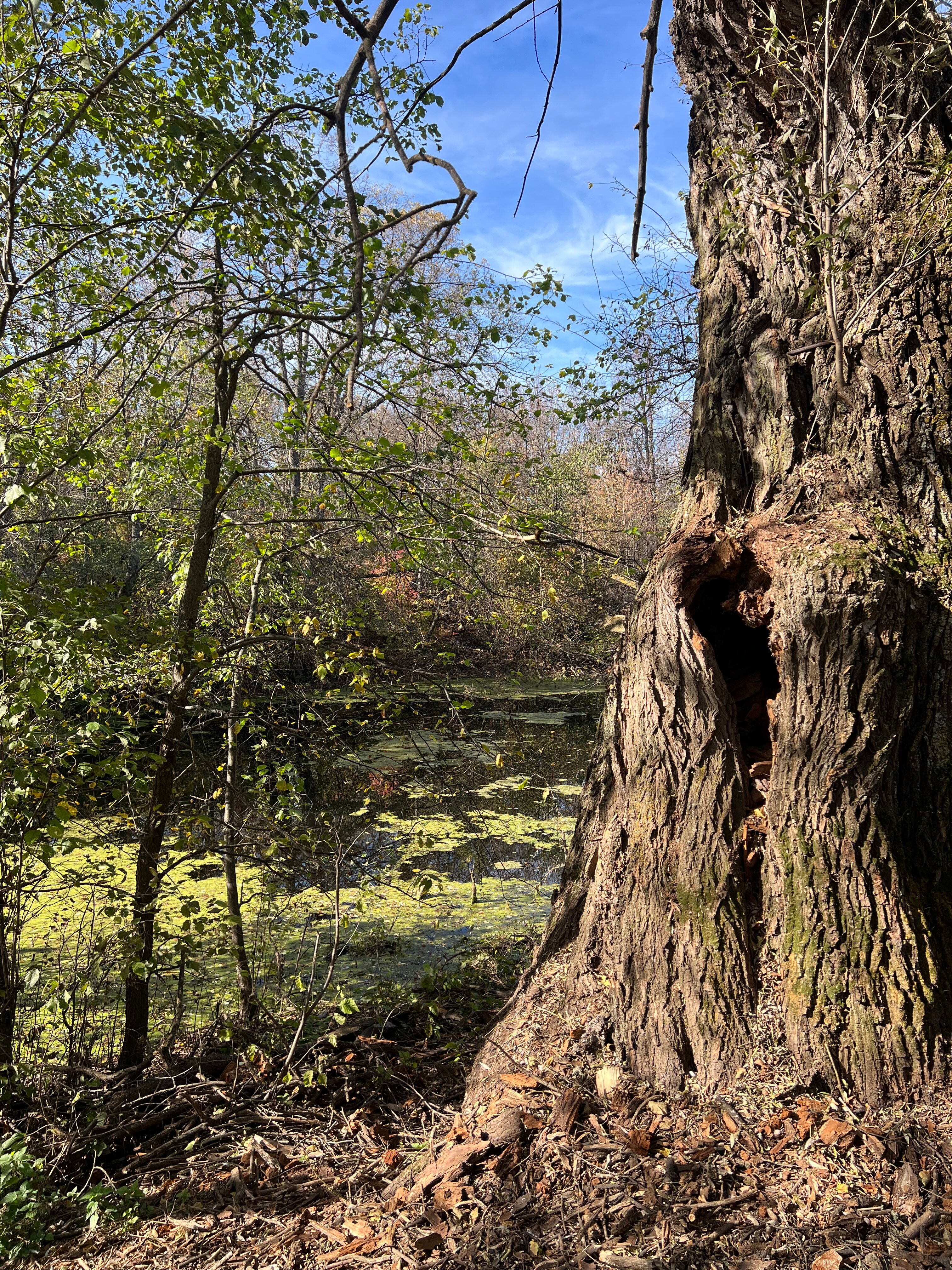 Фото Magic House Ufa