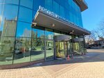 Golden Standard Management (Tsentralniy Microdistrict, Ordzhonikidze Street, 11), investment company