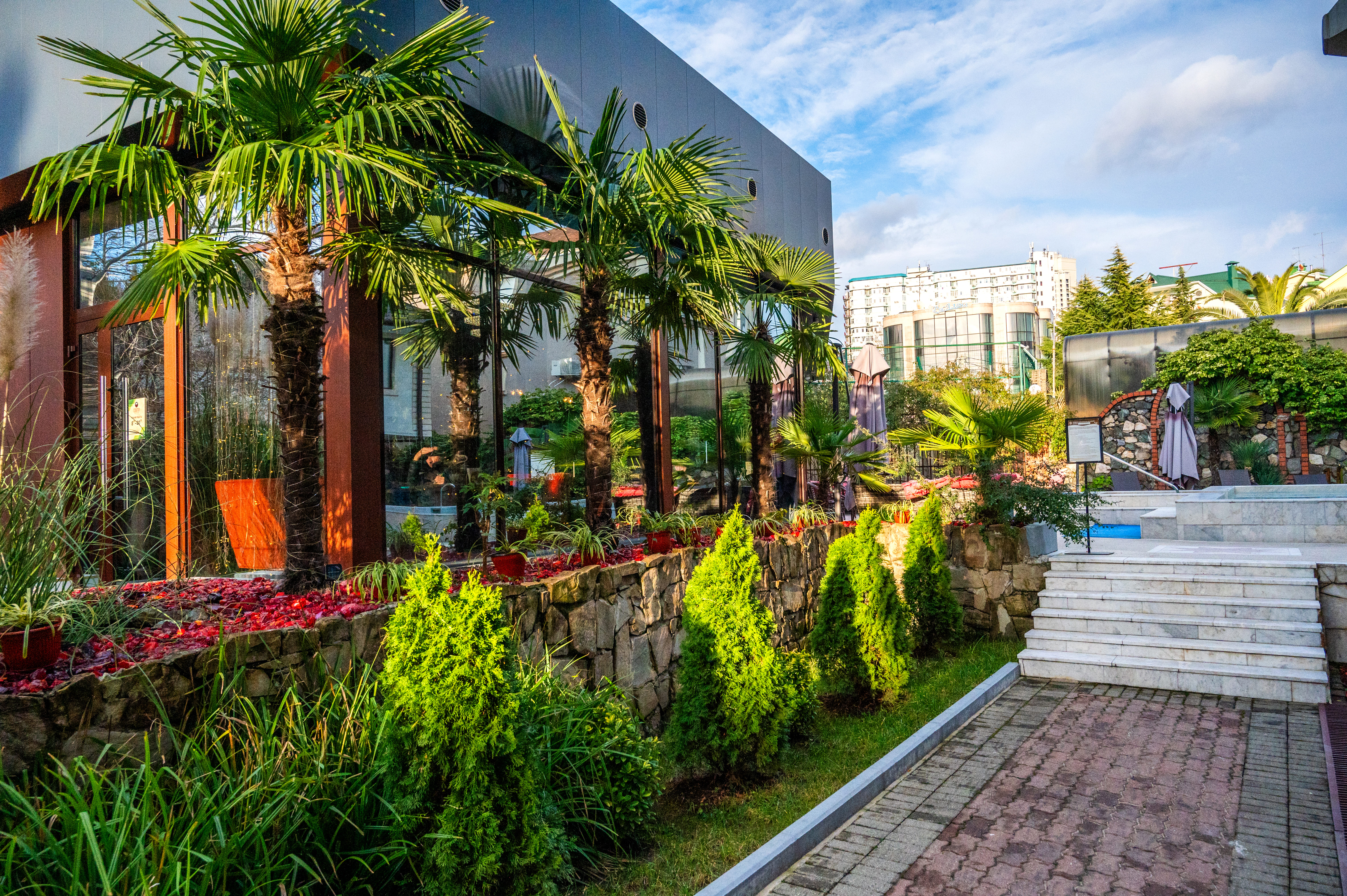 Фото Сенатор Неолит