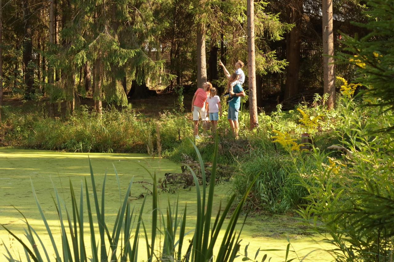 Фото Вилла Алина